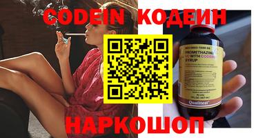индика Кинель