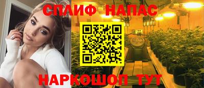 индика Кинель