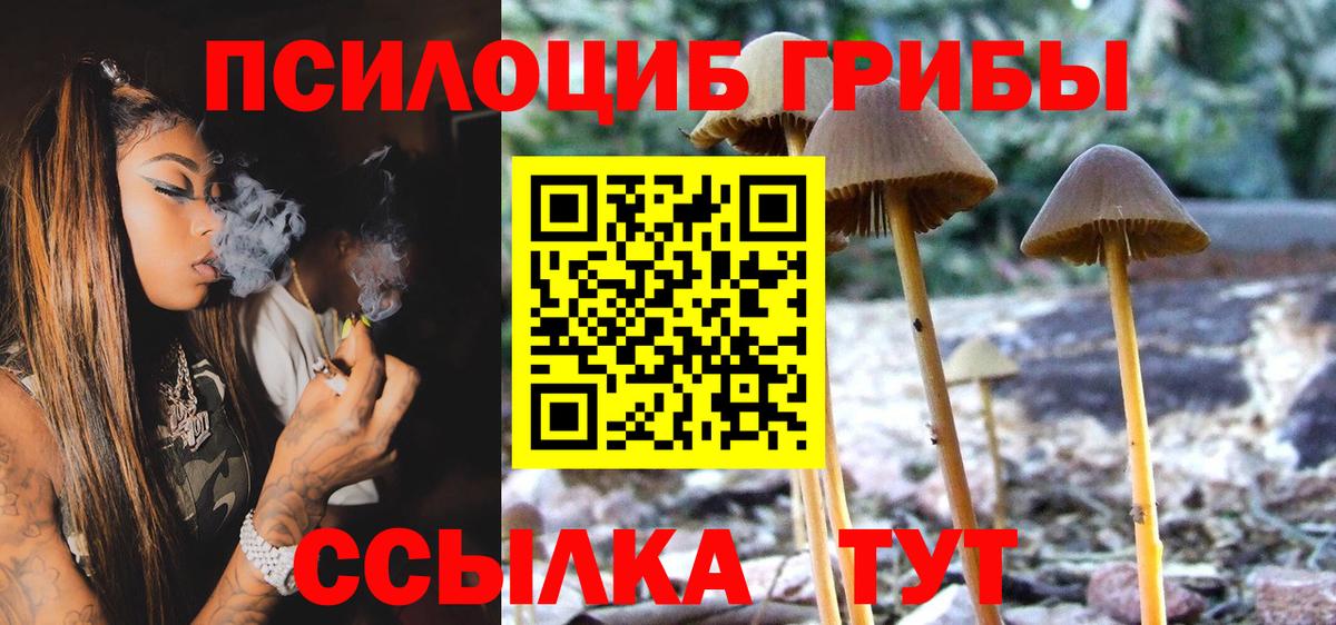 Псилоцибиновые грибы прущие грибы Кострома
