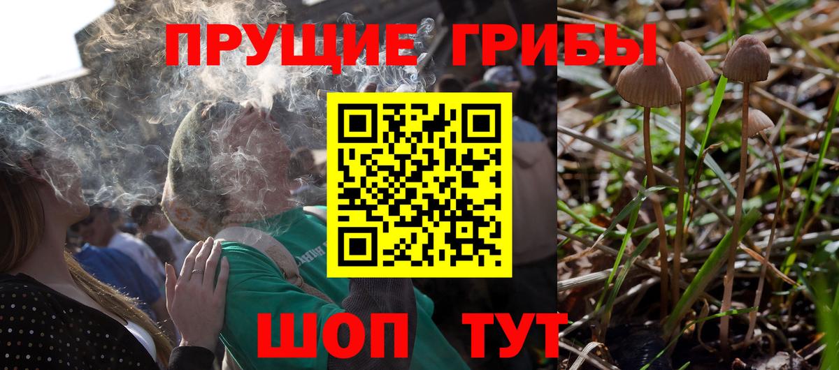 Кострома  Псилоцибиновые грибы MAGIC MUSHROOMS  что такое наркотик  Галлюциногенные грибы Psilocybe  Вход с VPN 